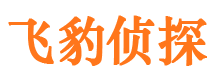 民和婚外情调查取证